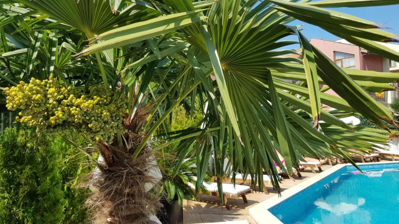 Апарт-отели Aria Complex Свети-Влас