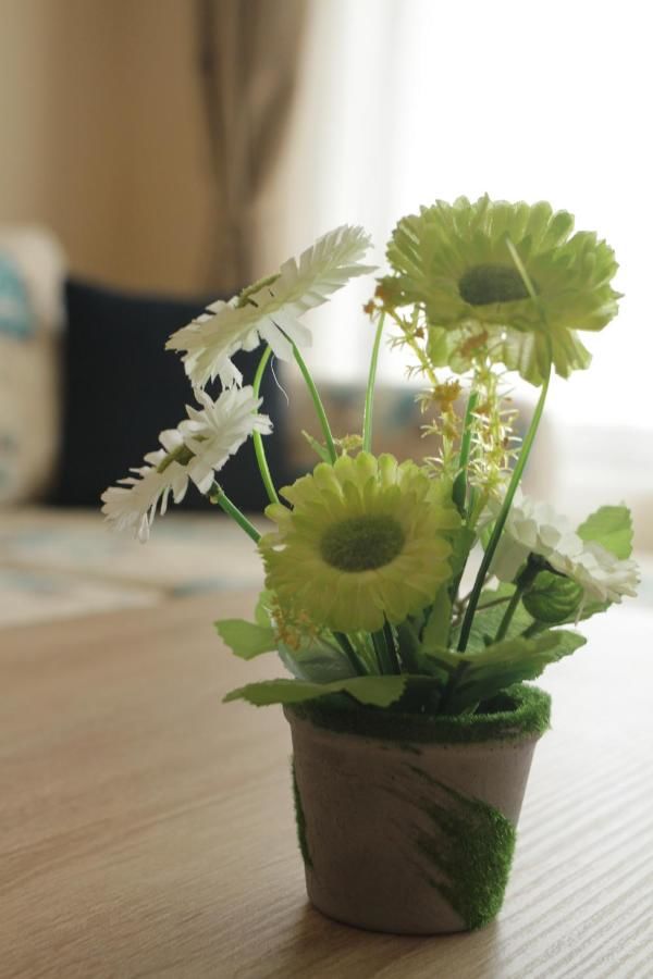 Апарт-отели Aria Complex Свети-Влас-45